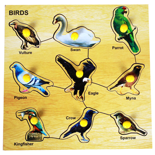 Birds Image