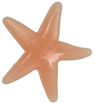 Starfish-big Image